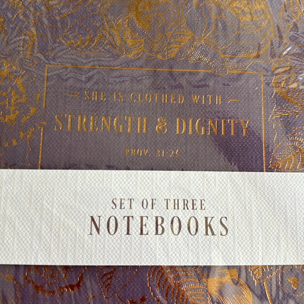 NWT Set of 3 Elegant Notebooks with Gold Detailing “STRENGTH & DIGNITY” - Picture 3 of 7